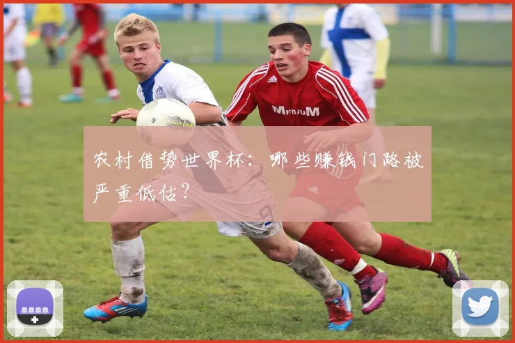 农村借势世界杯:哪些赚钱门路被严重低估?