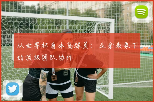 从世界杯看冰岛球员：业余表象下的顶级团队协作