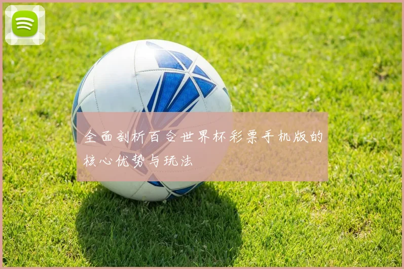 全面剖析百合世界杯彩票手机版的核心优势与玩法