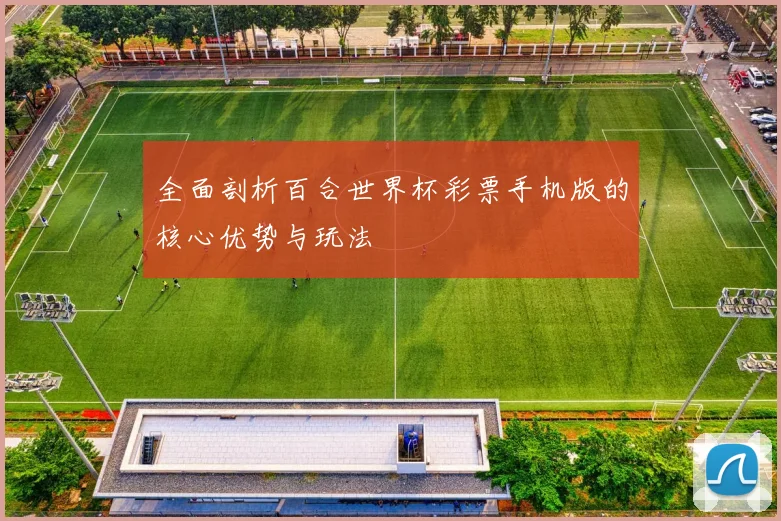 全面剖析百合世界杯彩票手机版的核心优势与玩法