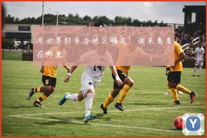 年世界杯举办地区确定！快来看看在哪里