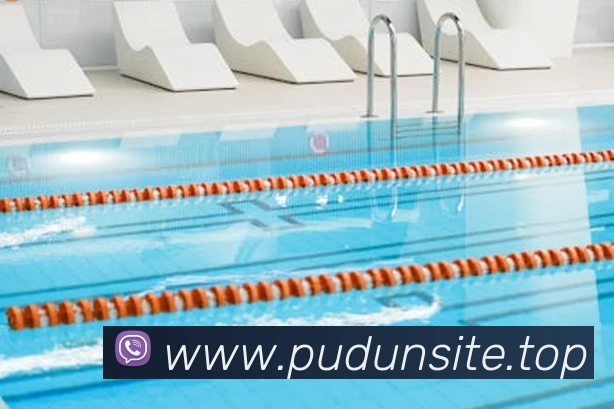 App Interface Preview